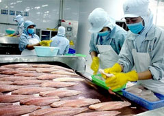 Vietnam fretting competition from other pangasius-producing countries