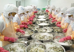 US scraps anti-dumping duty on Vietnamese shrimp