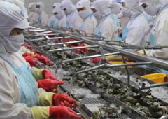 GLOBAL SHRIMP SUPPLY WILL REMAIN HIGH FOR FORESEEABLE FUTURE